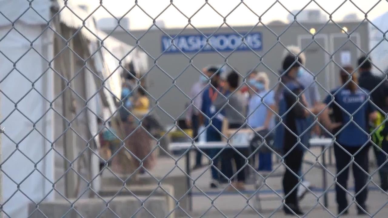 Afghan refugees arrive in Toronto