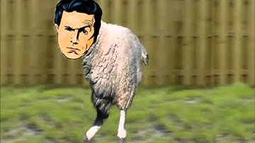 Retarded Stephen Colbert (from Retarded Running Sheep)