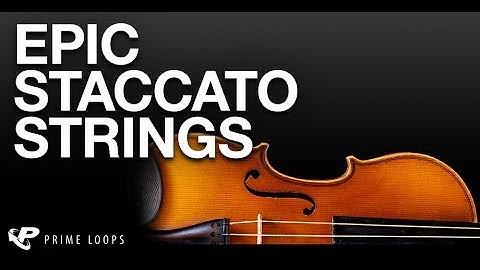 Epic Staccato String Sounds, Dramatic String Loops & Samples