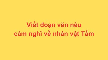 Viết đoạn văn nêu cảm nghĩ về nhân vật Tấm