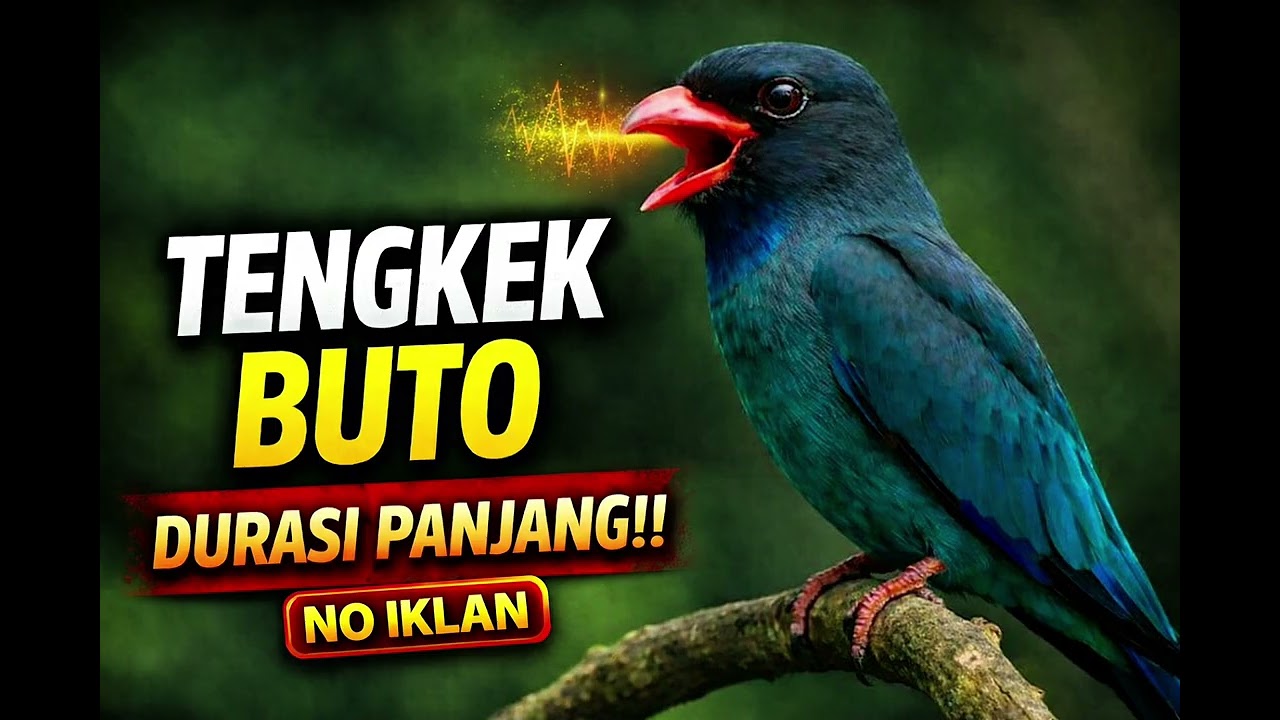 TENGKEK BUTO GACOR TERBARU 2026‼️ No Iklan, Full Panjang