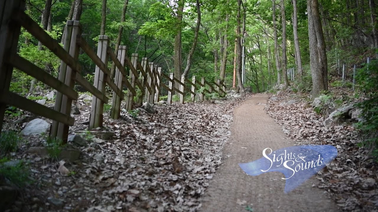 AFN Daegu - Sights & Sounds: Apsan Mountain