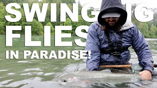 INSANE DAY of Swinging Flies for Big Steelhead