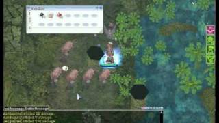 Ranger Job Change Quest - Ragnarok Online Renewal (iRO Valkyrie) screenshot 5