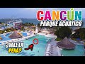 ✔️ Ventura Park CANCUN: EL MEJOR PARQUE ACUÁTICO 🌊 en la NUEVA NORMALIDAD 🔴 Reactivación Turística