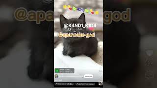 pls help those black cats they did nothing wrong!!!😭