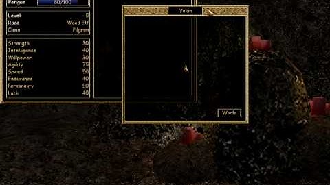 OpenMW 0.6: early gui test