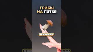Моменты со стрима #xkamysh #втубер #twitch