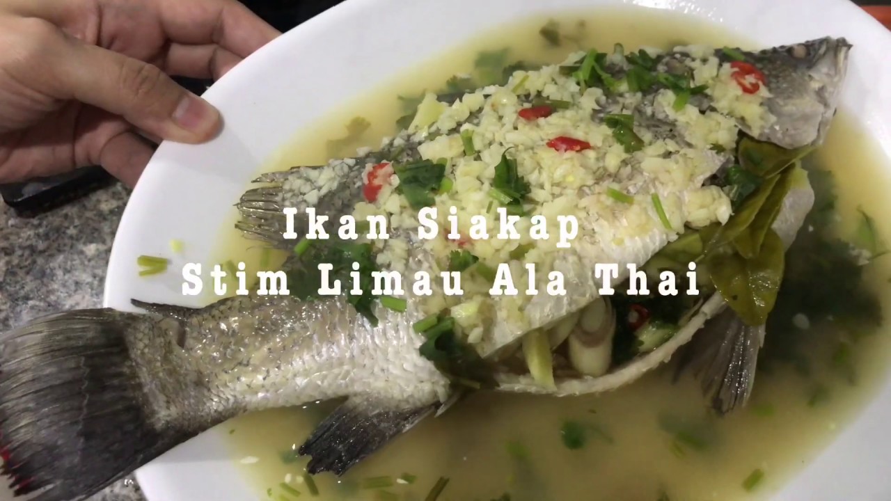 Akmashares Ikan Siakap Stim Limau Ala Thai Youtube