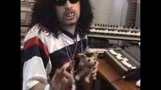 The Disco Kings Celebration Movie Part 2