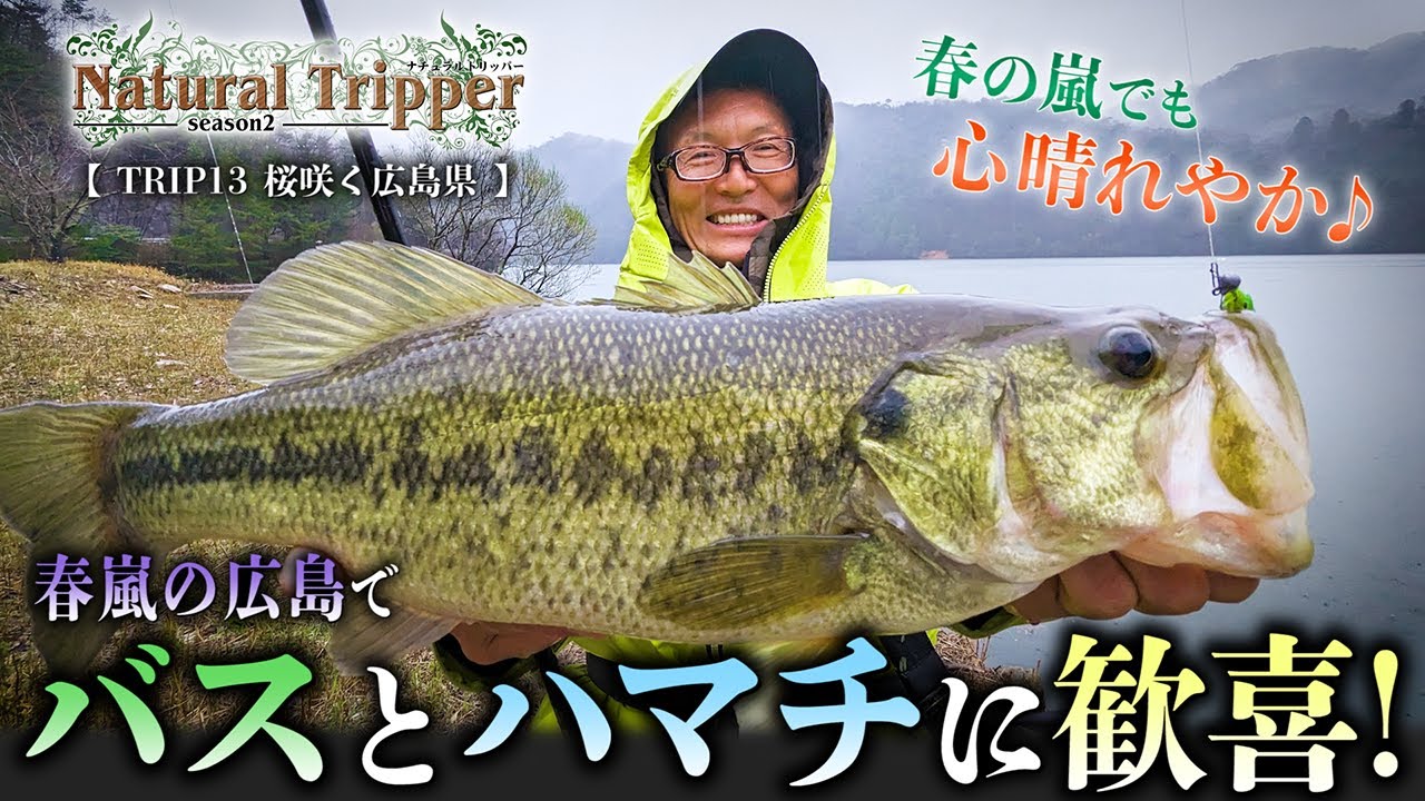 【Natural Tripper Season2】TRIP13 春嵐の広島で美バスとハマチに歓喜【バス・ジギング】