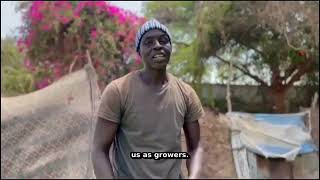 Senegal (USSEIN) - MBT's Infusana, Food Systems Innovation Challenge 2026 Update