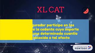Reaseguro XL CAT