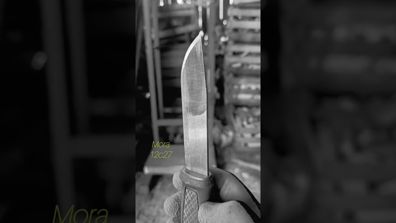 Reflection of Mora Kansbol 