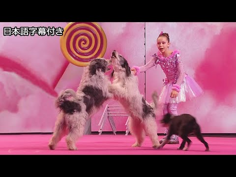 【和訳】アレクサとイヌの仲間たちが決勝で大技の数々！ | BGT Champions 2019