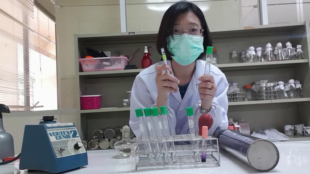การใช้ aseptic pipette และ การทำ serial dilution