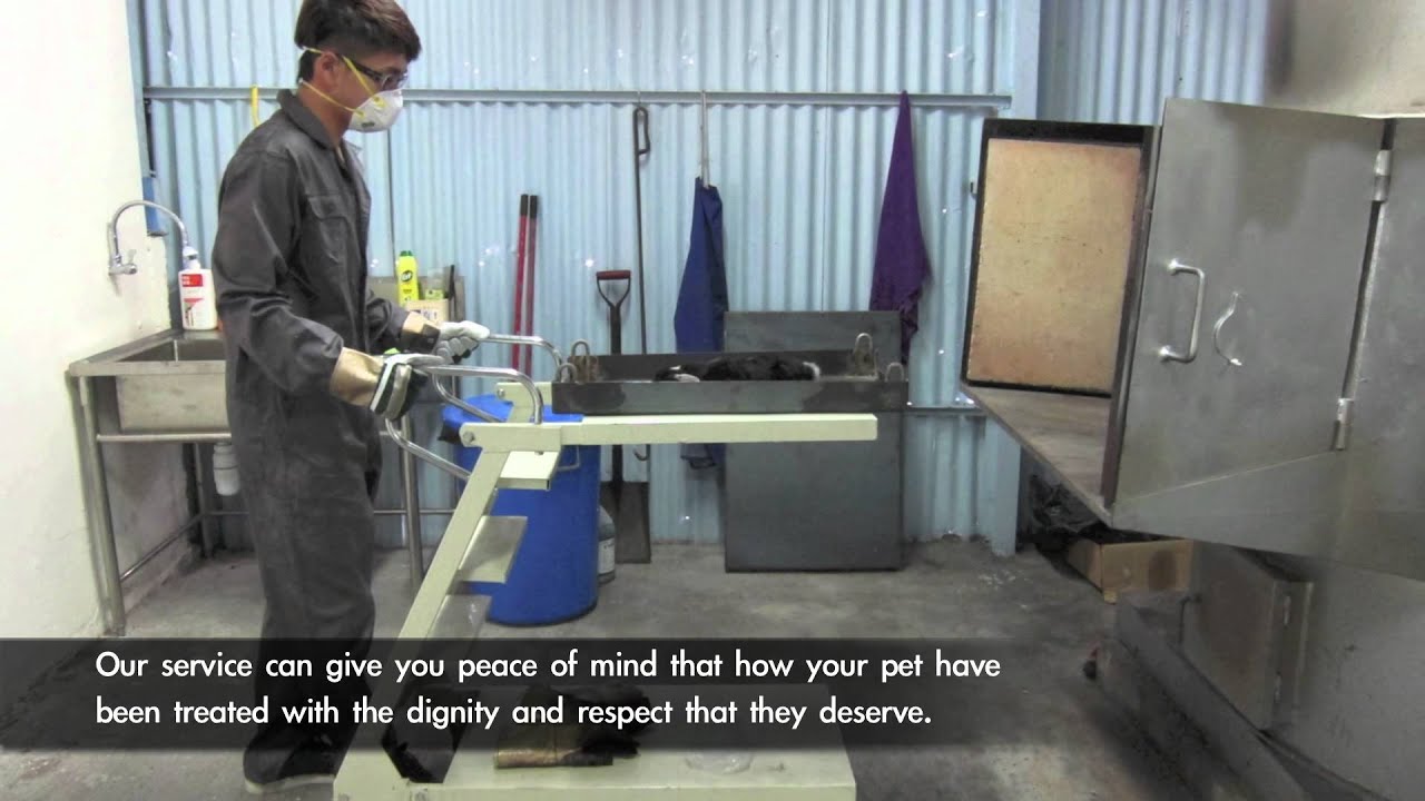 over the rainbow bridge pet crematorium