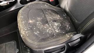 Removing mould from a car interior