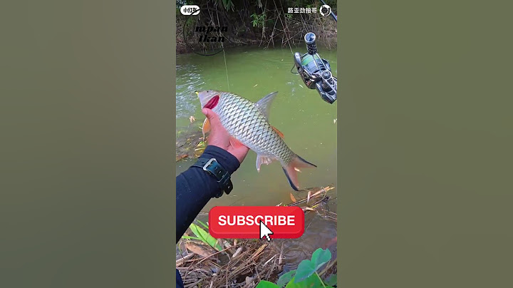 Banyak mitos di dunia mancing, mana yang paling sering kamu dengar #shorts