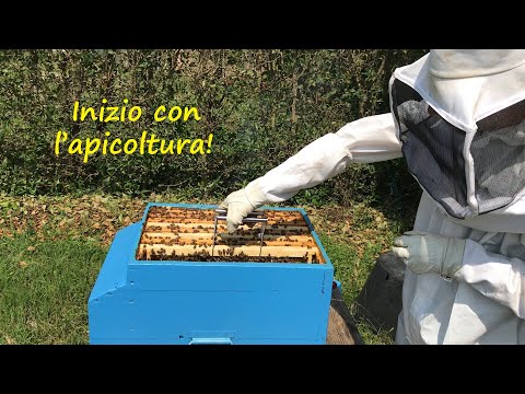 Video: Lavoro con gli animali: la mia vita come apicoltore