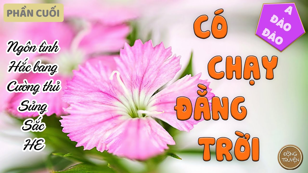 Thứ Tiểu Huyên muốn cũng chỉ có một mình chú Euler, mà... - youtube