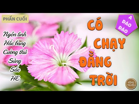 Video Thứ Tiểu Huyên muốn cũng chỉ có một mình chú Euler, mà... - youtube