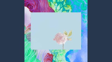 Paradise Like Backdrops for Enjoying Colors