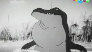 Crocodile Eats Person B