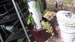 The Garden Stick: Vertical Gardening Made Easy