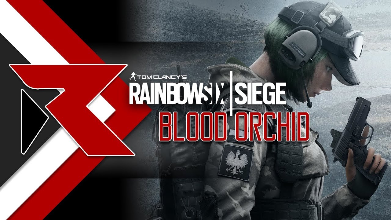 Rainbow Six Siege | Blood Orchid Ranked - Aiming for Diamond - YouTube
