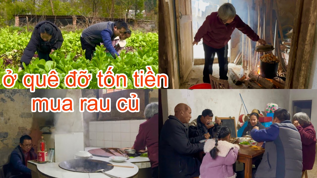 [1142]Lên Rẫy Hái Rau Về Cho Mẹ Nấu Bữa Cơm Chiều.