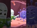Antibiotics will work only against bacteria and not viruses #animation #stopresistance #amr