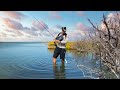 This is how i fish for survival  mangrove forest catch n cook