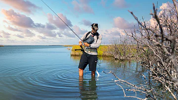This Is How I Fish for Survival - Mangrove Forest Catch n’ Cook