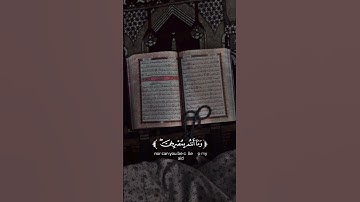 #القرآن_الكريم #quran 🤍💮 #محمد_اللحيدان #سورة_إبراهيم #راحة_نفسية #حالات_واتس