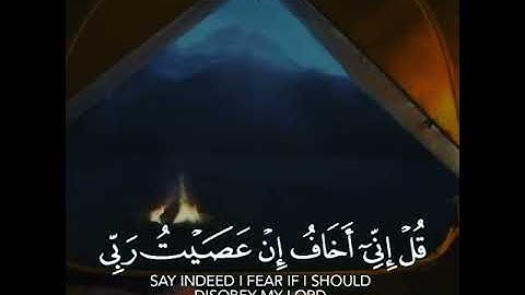 قرآن كريم بصوت القارئ ياسر الدوسري تلاوة خاشعة و مؤثر ارح قلبك 💚🌿حالة واتس إسلامية /استوري انستغرام