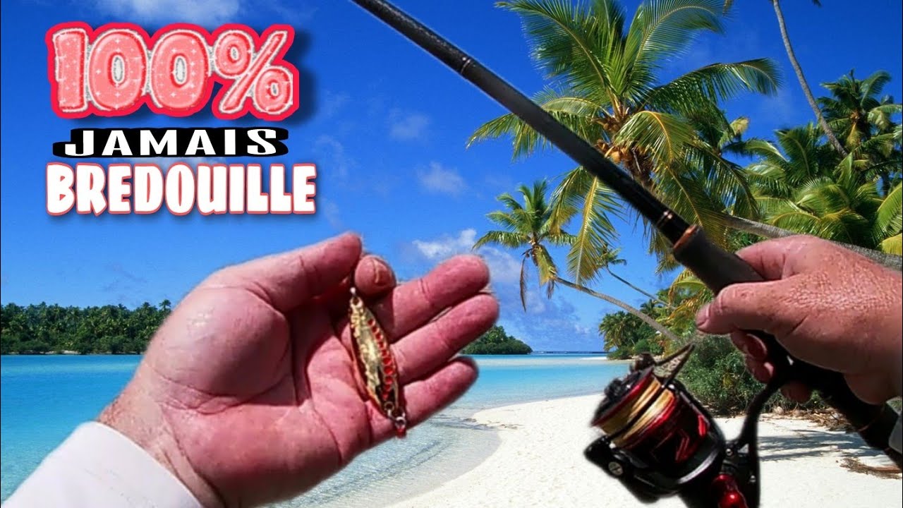 100% MEILLEUR TECHNIQUE  de PÊCHE aux LANCER !facile,efficace...JAMAIS BREDOUILLE !