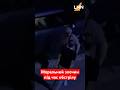 Моральний злочин у Шептицькому: чи покарають порушників?
