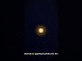 Black Hole Singularity: The Holographic Truth Exposed