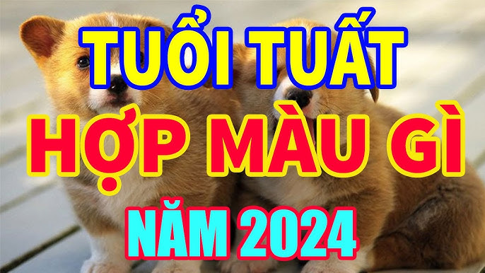 Tuổi Tuất Năm 2024 Mặc Màu Gì Hợp? Khám Phá Ngay!