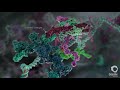 What goes wrong in cancer a peter mac bioanimation by dr maja divjak