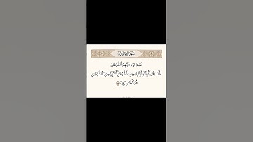 سورة المجادلة : اية 19 | القارئ : ياسر الدوسري #ياسر_الدوسري