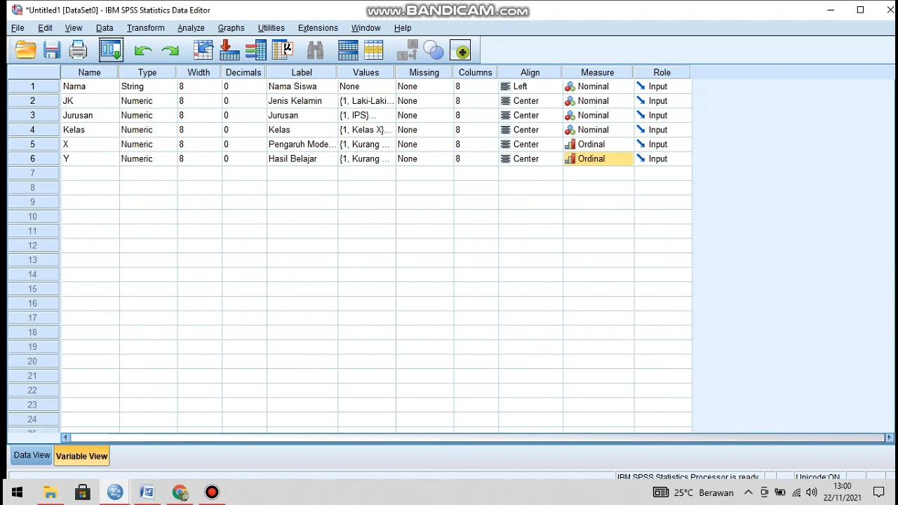 View data. Data viewer. Spss и медицина. View data. View data.