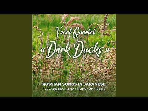 Dark Ducks — Katyusha (Катюша)