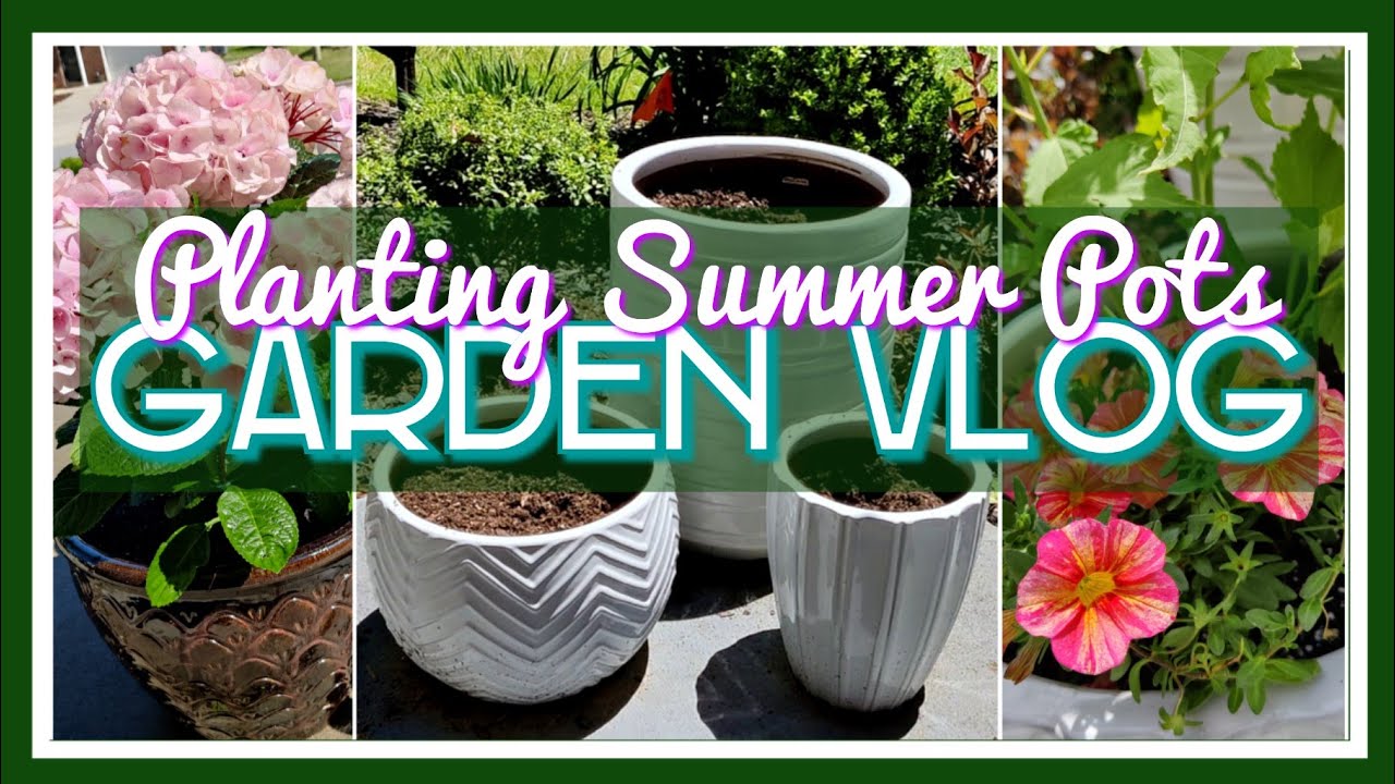 Planting Annuals for Summer Color🌸 Zone 7b Garden Vlog YouTube
