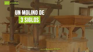 Un molino con más de 3 siglos para hacer harinas ecológicas