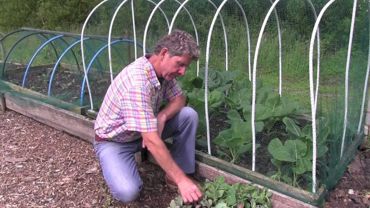 WHAT TO PLANT AND JOBS TO DO IN JULY YouTube