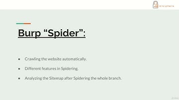 Lesson 3  Understanding Burp Target and spider