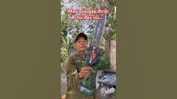 Trải nghiệm thực tế máy cưa xích pin 12 inch Greekman một vị khách nhà em.#hukan #cubomtv #workfix