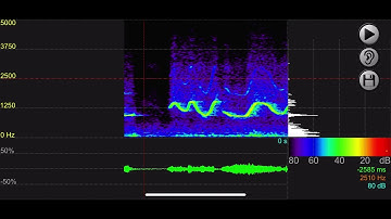 SpectraMania Demo - Audio Spectrum Analyzer Software for iPhone/iPad - iOS App. Real Sound Analyzer